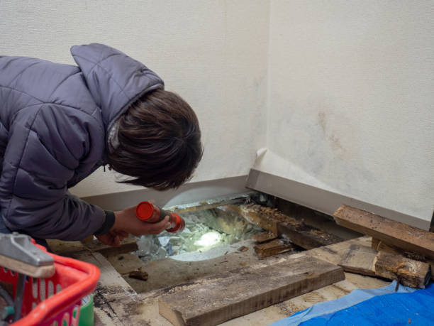 Mold Remediation for Rental Properties in Port Oconnor, TX