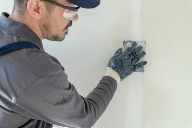 Best Mold Damage Restoration  in Port Oconnor, TX