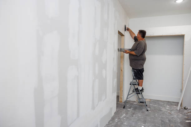 Best Asbestos and Lead Testing During Mold Inspection  in Port Oconnor, TX